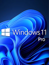 Windows 11 Professional OEM Key