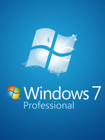 Windows 7 Professional OEM Key